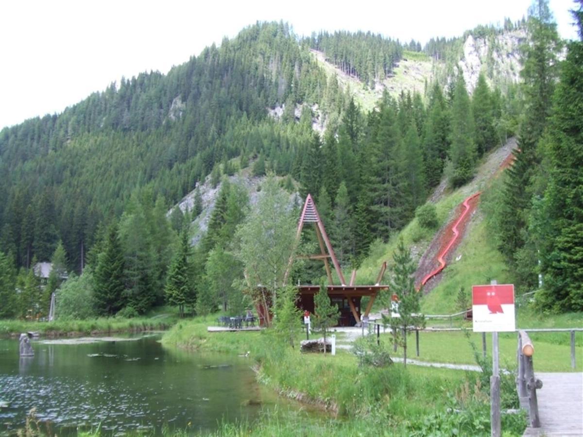 Chalet In Hohentauern With In House Wellness Buitenkant foto